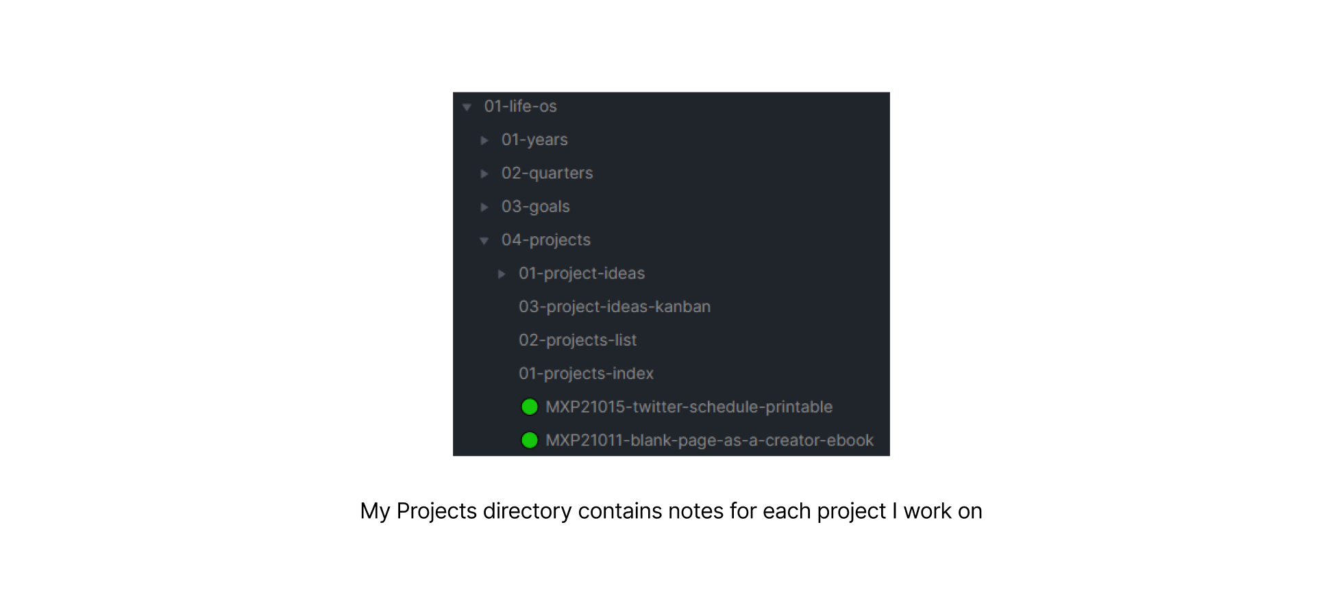 Projects Directory Screenshot